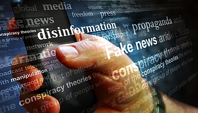 The spread and impact of disinformation in the context of online platforms (No. 546)